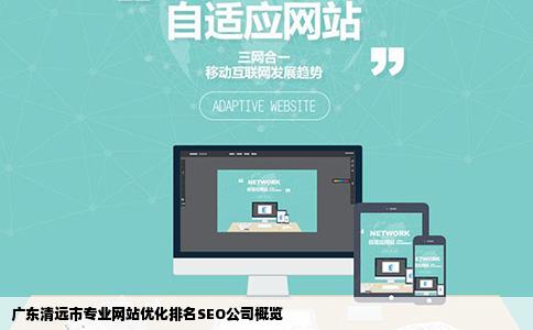 广东清远市专业网站优化排名SEO公司概览
