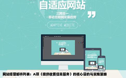 网站经营邮件列表：A项（提供收费信息服务）的核心目的与实施策略