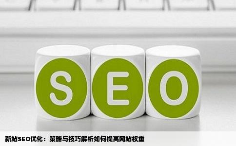 新站SEO优化：策略与技巧解析如何提高网站权重
