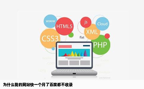 为什么我的网站快一个月了百度都不收录