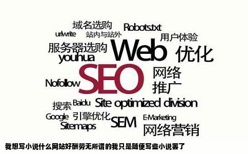 我想写小说什么网站好酬劳无所谓的我只是随便写些小说罢了