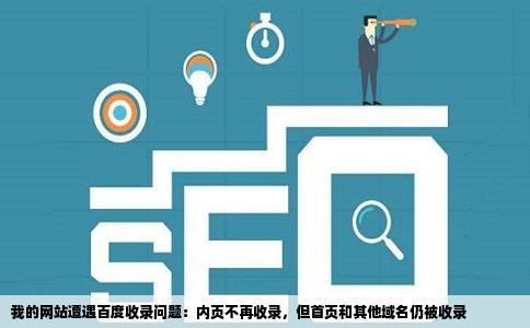 我的网站遭遇百度收录问题：内页不再收录，但首页和其他域名仍被收录