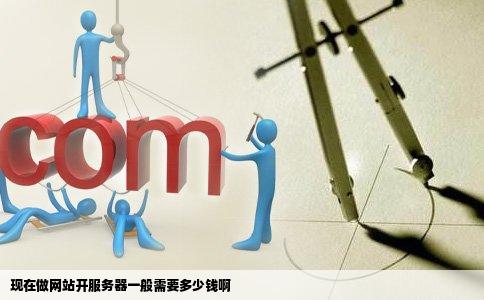 现在做网站开服务器一般需要多少钱啊