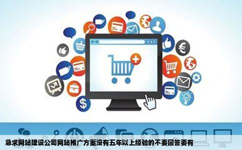 急求网站建设公司网站推广方案没有五年以上经验的不要回答要有