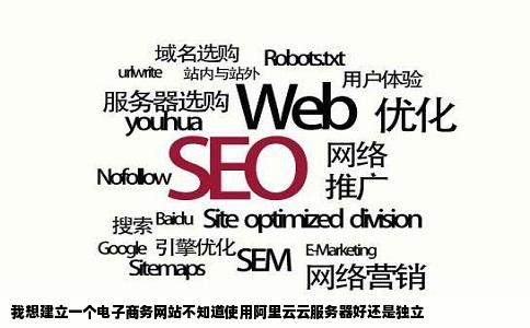 我想建立一个电子商务网站不知道使用阿里云云服务器好还是独立