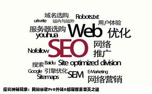 探究神秘现象：网站谷歌Pr0外链0却居搜索首页之谜