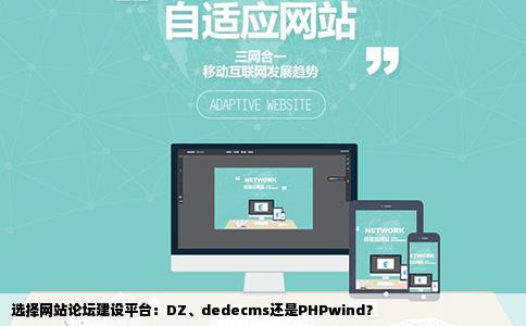 选择网站论坛建设平台：DZ、dedecms还是PHPwind？