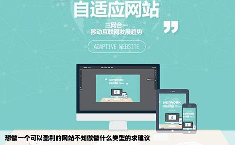 想做一个可以盈利的网站不知做做什么类型的求建议