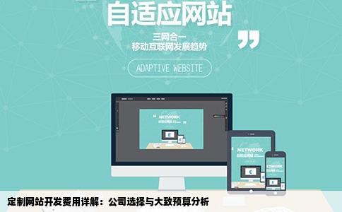 定制网站开发费用详解：公司选择与大致预算分析