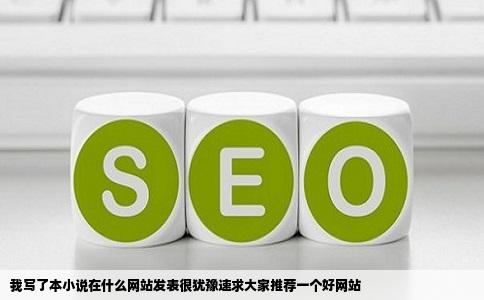 我写了本小说在什么网站发表很犹豫速求大家推荐一个好网站