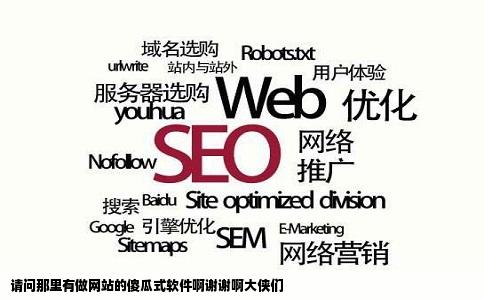 请问那里有做网站的傻瓜式软件啊谢谢啊大侠们