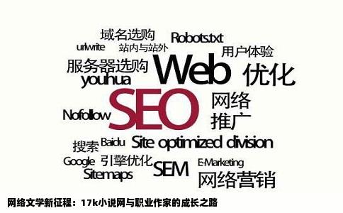 网络文学新征程：17k小说网与职业作家的成长之路