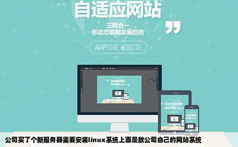 公司买了个新服务器需要安装linux系统上面是放公司自己的网站系统