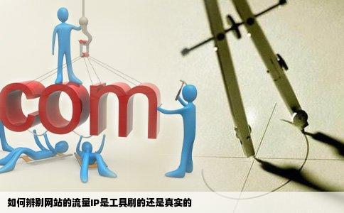 如何辨别网站的流量IP是工具刷的还是真实的