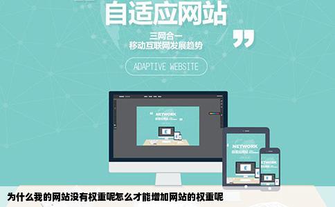 为什么我的网站没有权重呢怎么才能增加网站的权重呢