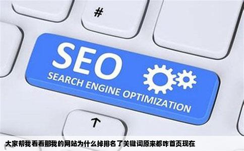大家帮我看看那我的网站为什么掉排名了关键词原来都咋首页现在