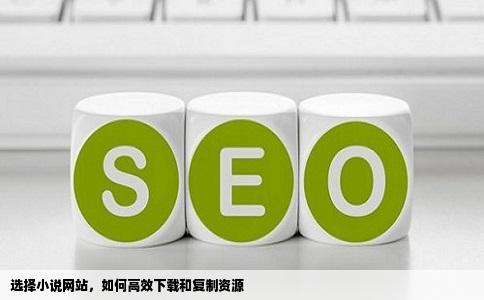 选择小说网站，如何高效下载和复制资源