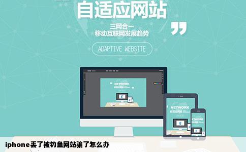 iphone丢了被钓鱼网站骗了怎么办