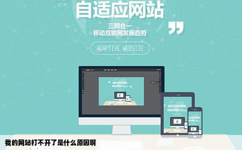 我的网站打不开了是什么原因啊