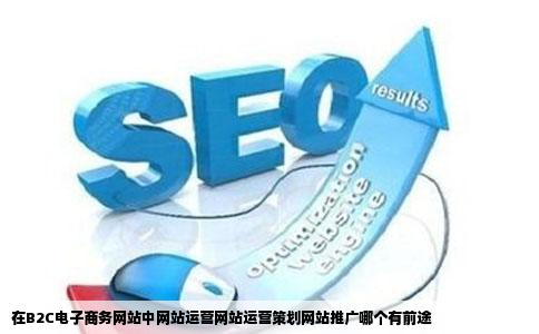 在B2C电子商务网站中网站运营网站运营策划网站推广哪个有前途