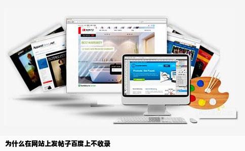 为什么在网站上发帖子百度上不收录