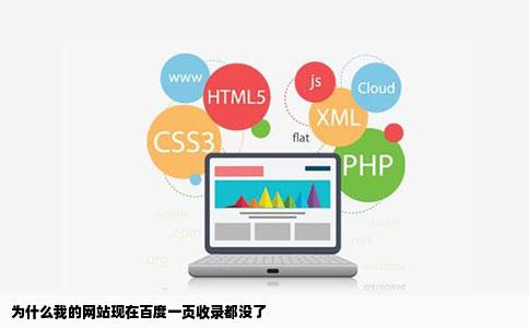 为什么我的网站现在百度一页收录都没了