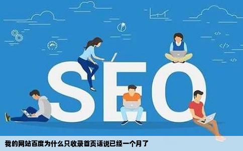 我的网站百度为什么只收录首页话说已经一个月了