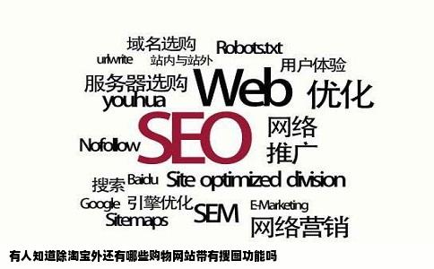 有人知道除淘宝外还有哪些购物网站带有搜图功能吗