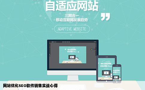 网站优化SEO软件销售实战心得