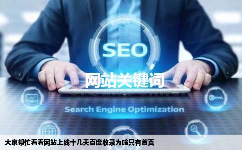 大家帮忙看看网站上线十几天百度收录为啥只有首页