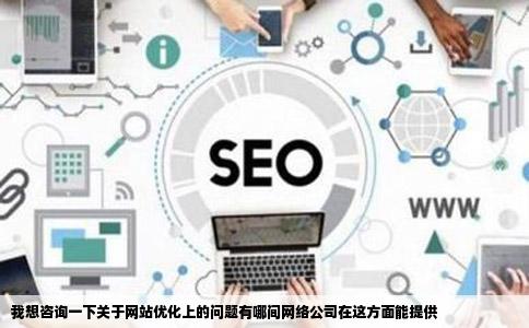 我想咨询一下关于网站优化上的问题有哪间网络公司在这方面能提供