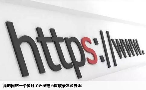 我的网站一个多月了还没被百度收录怎么办呢
