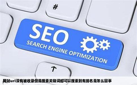网站url没有被收录但是搜索关键词却可以搜索到有排名是怎么回事