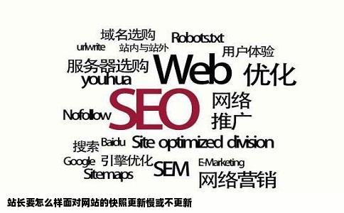 站长要怎么样面对网站的快照更新慢或不更新
