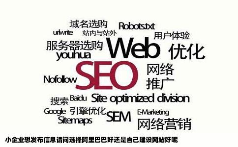 小企业想发布信息请问选择阿里巴巴好还是自己建设网站好呢