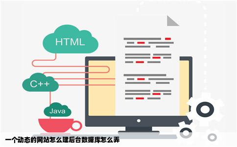 一个动态的网站怎么建后台数据库怎么弄