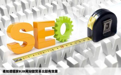 谁知道哪家B2B网站做贸易比较有效果