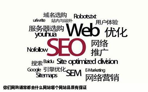 你们网购通常都去什么网站哪个网站品质有保证