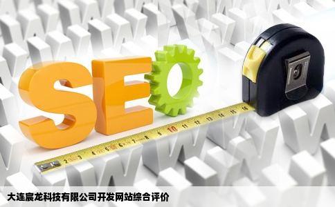 大连宸龙科技有限公司开发网站综合评价