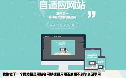 我刚做了一个网站但是用域名可以搜到用用百度搜不到怎么回事用