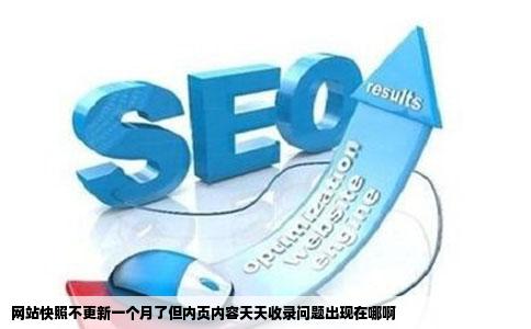 网站快照不更新一个月了但内页内容天天收录问题出现在哪啊