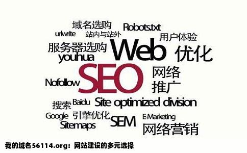 我的域名56114.org：网站建设的多元选择