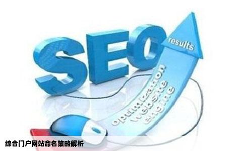 综合门户网站命名策略解析