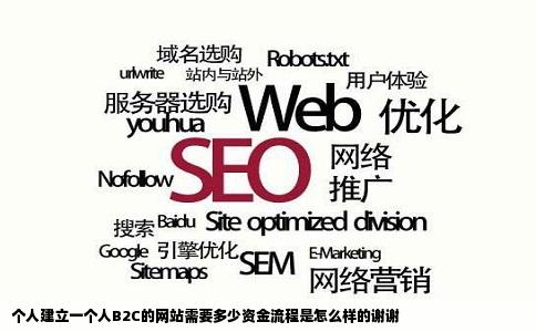 个人建立一个人B2C的网站需要多少资金流程是怎么样的谢谢
