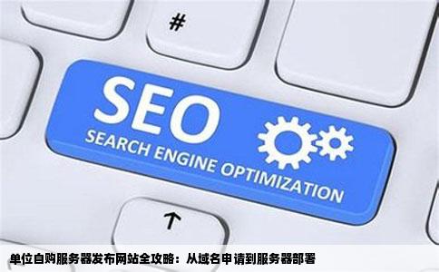 单位自购服务器发布网站全攻略：从域名申请到服务器部署