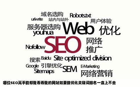 哪位SEO高手能帮我看看我的网站如果做优化关键词排名一直上不去