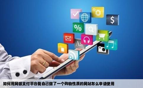 如何用网银支付平台我自己做了一个购物性质的网站怎么申请使用