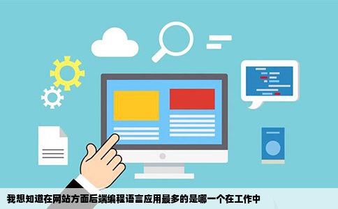 我想知道在网站方面后端编程语言应用最多的是哪一个在工作中