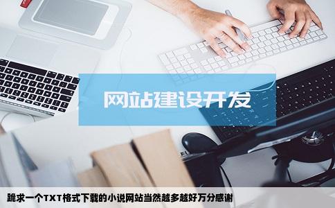 跪求一个TXT格式下载的小说网站当然越多越好万分感谢