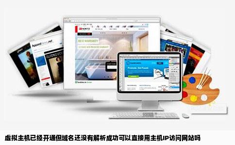 虚拟主机已经开通但域名还没有解析成功可以直接用主机IP访问网站吗